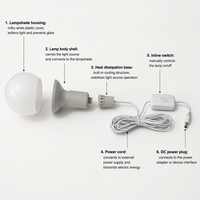 Ampoule LED 12V pour usage extérieur avec câble de 2,8 m ou 5 m, prise DC5521, interrupteur marche/arrêt, crochet métallique, CRI 80, 3000K/6500K, forme globe
