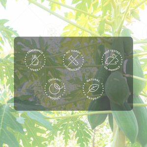 Sabonete Sólido Vegano de Extrato de Mamão 100g Personalizado OEM com Efeito Clareador e Hidratante Sabonete Natural em Lote - Product Image 3