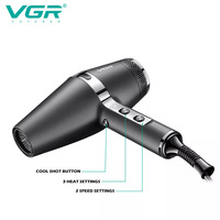 Vgr V-451 1800-2200w sèche-cheveux professionnel à moteur Ac pour Salon avec buse de concentrateur
