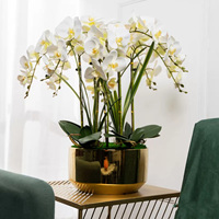 Supplier Grosir Anggrek Phalaenopsis Sutra Realistis Buatan Tangan untuk Importir, Distributor, Toko Bunga, Natal, Paskah