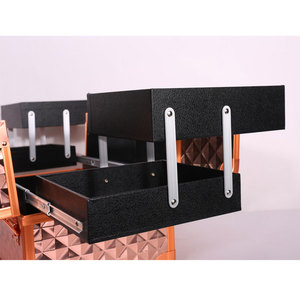 Caja de aluminio de lujo <span class=keywords><strong>para</strong></span> cosméticos, neceser <span class=keywords><strong>profesional</strong></span> <span class=keywords><strong>para</strong></span> maquillaje, <span class=keywords><strong>manicurista</strong></span>, <span class=keywords><strong>Maleta</strong></span> de viaje, organizador de cosméticos, estuche de tren de maquillaje - Product Image 3