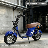 Trottinette électrique 2000W, batterie LFP 60V 20.8Ah, grandes roues, pneus larges, avec BMS intelligent et frein hydraulique pour l'UE et les États-Unis