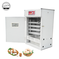 Incubateur d'œufs automatique 352 flambant neuf, couveuse avec 98% niveaux d'éclosion