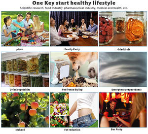 Liofilizador de Alimentos Portátil Labsnova de 18-22 Libras, <span class=keywords><strong>6</strong></span> Bandejas, Máquina de Liofilización para Todo Tipo de Dulces, en Existencia, Buena Calidad - Product Image 6