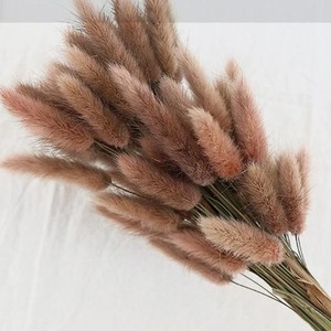 Vente en gros d'usine, fleurs séchées naturelles colorées, queue de lapin, herbe de queue de lapin, fleurs conservées, décoration de fleurs - Product Image 5