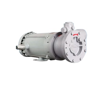 ปั๊มวอร์เท็กซ์ LPG 220V ไหลแรงสูง เหมาะสำหรับเติมถังแก๊สเหลว ปั๊มถ่ายโอนที่ทนทานพร้อมการปิดผนึกที่ดี - Product Image 1