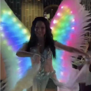 Ailes d'ange lumineuses à LED RGB, costume de fée pour la scène, la danse, la boîte de nuit, le défilé, la performance - Product Image 1