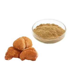 Longze factory direct – poudre d'extrait de champignon de crinière de lion/<span class=keywords><strong>Hericium</strong></span> <span class=keywords><strong>Erinaceus</strong></span> - Product Image 1