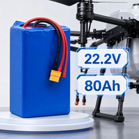 Paket Baterai Lithium Ion 22.2V 80Ah 400Wh/kg untuk Drone Industri, Detektor Drone, dan Drone VTOL