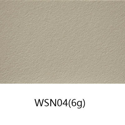 WSN04(6g)