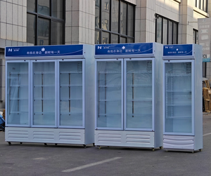 Réfrigérateur Commercial Vertical OEM 288L à Porte Unique pour Bar à Glace, Bières Red Bull et Boissons – <span class=keywords><strong>Prix</strong></span> Usine - Product Image 6