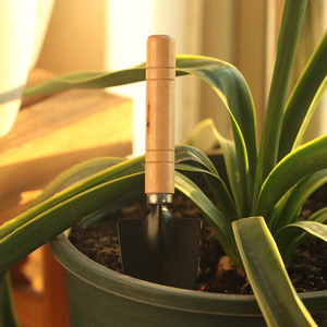 ชุดจอบทำสวน จอบเหล็กขนาดเล็กสำหรับกระถางต้นไม้ ดินหลวมคลายดิน ใช้ในบ้าน ทนทาน สไตล์เรียบง่าย ชุดสามชิ้น - Product Image 1