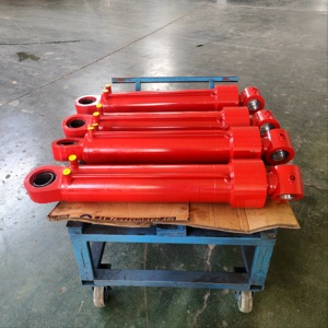 20 Ton Double Acting Crane Hydraulic Cylinders for Construction Truck - Product Image 2