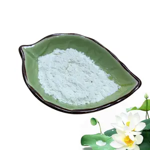 ใบบัวธรรมชาติบริสุทธิ์อินทรีย์ Nuciferine 10% ผงใบบัวแห้งผง - Product Image 1