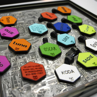 Colliers d'identification personnalisés de luxe pour chiens, en silicone durable, avec code QR gravé, motif imprimé, pendentif personnalisé pour la sécurité des chiens et des chats