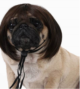 Peluca para mascotas, suministros para perros, accesorios para mascotas, pelo rizado, pelo liso, peluca para gatos - Product Image 3