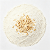 Poudre d'avoine végétale sans gluten, sans OGM, riche en protéines, pour les boissons nutritives végétaliennes et la pâtisserie