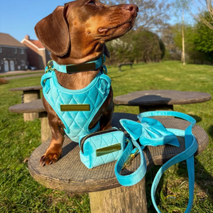 Arnés de Lujo para Perro, Conjunto de Correa y Collar, Ajustable, de Terciopelo, Arnés Único Tipo Chaleco, Arnés de Terciopelo Rojo para Boda, Arnés para Mascotas - Product Image 4