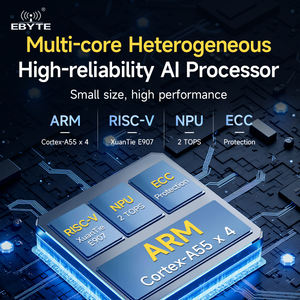 Ebyte ODM ECK33 Serie Industrial, Placa Base Integrada con Núcleo ARM Allwinner T536 de 4 Núcleos, Computadora de Placa Única, 16/32GB, 1.6GHz - Product Image 4
