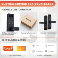 3D-Gesichtserkennung Tuya WiFi APP Smart Lock Schlüsselloser Zugang Fingerabdruck Passwort Karte Cloud-Daten Heim Hotel Großhandel