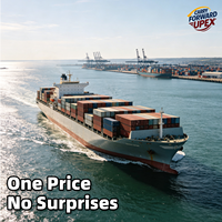 Service d'expédition DDP Royaume-Uni depuis la Chine par voie aérienne + express, prix fixe, sans frais supplémentaires, manutention de marchandises dangereuses, assistance 24h/24 et 7j/7, et stockage.