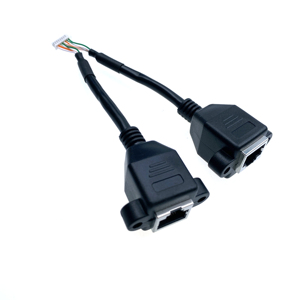 Kustom 2 in 1 kabel RJ45 Female ke Molex 51021 1.25mm Pitch 9P USB kabel ekstensi Rakitan - Product Image 5