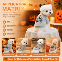 Costume d'automne populaire pour animaux de compagnie en polyester écologique, motif citrouille fantôme mignon, pour chiens et chats, vente en gros pour Halloween