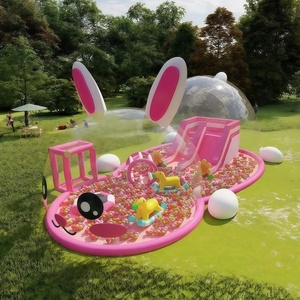 Carpa Inflable Transparente Tipo Domo para Eventos en Centros Comerciales, con Temática de Tigre, <span class=keywords><strong>Piscina</strong></span> de Pelotas con Tobogán, Castillo, Casa de Juegos con Pelotas Oceánicas para Niños - Product Image 2
