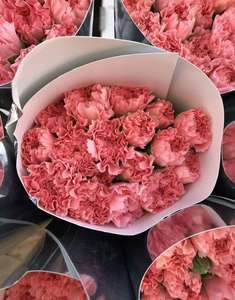 Toptan karanfil pembe elmas taze kesilmiş anne çiçek arsa öğretmen günü - Product Image 3