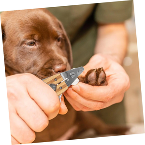 כלב יוקרה ללא מאמץ & חתול clipper הטוב ביותר לחיות מחמד מסמר כלי טיפוח עם נירוסטה & עץ חומר מדריך סוג מספריים - Product Image 3