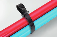 Attaches-câbles en nylon autobloquants Hooyu, 100 pièces/sac, 4-18 pouces (-40~+150°C), largeur 2,5 mm, pour câbles électriques, certifiés CE RoHS