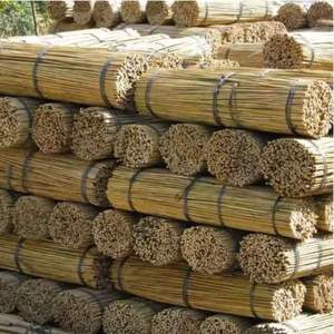 Estacas de Bambú Agrícolas al por Mayor, Caña Natural Duradera para Soporte de Plantas de Jardín y Vivero, Ecológicas - Product Image 6