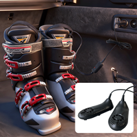 Sèche-chaussures intelligent portable avec logo personnalisé, technologie de chauffage PTC, certifié CE, écologique, pour chargeur de voiture