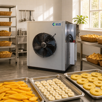 Mangosteen fruitdroogmachine warmtepomp dehydrator energiebesparend