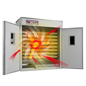 자동 500 계란 인큐베이터 태양 광 발전 농장 기계 닭 오리 부화 코어 모터 최고의 가격 짐바브웨 남아프리카 공화국 - Product Image 2