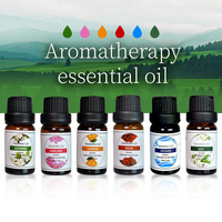 Private Label Bio 100% Reines Aromatherapie-Öl Diffusor Natürliches Ätherisches Öl Geschenkset Parfüm Duftöl Großhandel