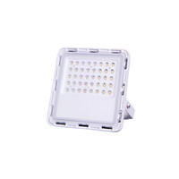 Lampu Sorot LED Luar Ruangan Tahan Air IP68 30W 50W 100W 150W 200W Cahaya Siang Bersertifikasi CE Aluminium Sinar Lebar Lampu Stadion Super