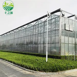 Large Top ventilated glass greenhouse Agriculture Can grow seedlings Glass Greenhouse