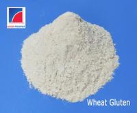 Farine de blé vital de qualité alimentaire, poudre de gluten blanche/jaune clair, favorise la nutrition et la croissance saine – Approvisionnement direct usine