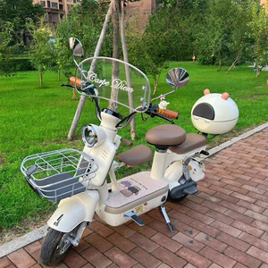 Bicicleta Eléctrica al por Mayor para Ciudad con Motor de 48V 350W, Económica para el Desplazamiento Diario, Modelo Y2-MD - Product Image 4