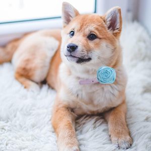 Laços Mini Rosas de Flores em Fita de Cetim para Artesanato, Costura DIY, Apliques para Casamentos, Decoração e Presentes - Product Image 6