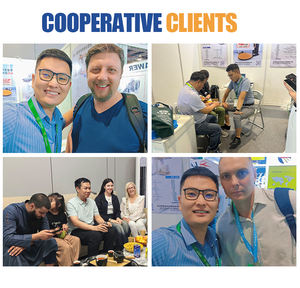 آلة تغليف صناعية بالفيلم المطاطي، ماكينة لف البضائع على المنصات، آلة تغليف اقتصادية أوتوماتيكية - Product Image 5