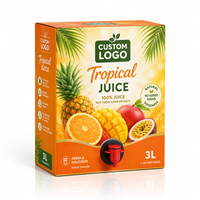 Aangepaste tropische sapzak in doosverpakking 3L fruitdrankdispenserdoos met kraantje voor sapvloeistofverpakkingen