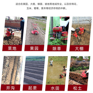 Mini Tiller Four Stroke Gasoline Rotary Cultivator Soil Loosener Weeder For Vegetable Garden Orchard Greenhouse - Product Image 4