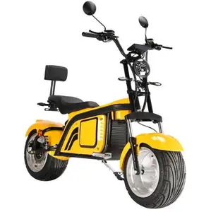 Electric Scooter 2000W Brushless Citycoco Adult Electric Motorcycles Scooter For Rent Business 60V 20AH Battery E Scooter