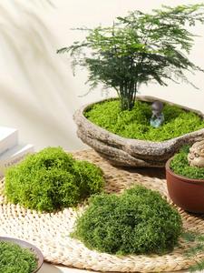 หญ้าเทียมสีเขียวทหาร โพลีเอสเตอร์ ขนาดเล็ก ทนทาน สำหรับตกแต่งภูมิทัศน์กลางแจ้ง ต้นบอนไซ ตกแต่งกระถาง หญ้าสนาม สูง 10 ซม. น้ำหนัก 100 กรัม - Product Image 6