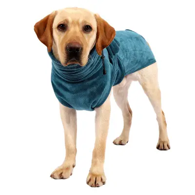 Yeni stiller düşük fiyat yüksek kalite rahat köpek giyim popüler ürünler günlük kullanılan festivali giyinmek için evcil hayvan giysileri hoodie köpek