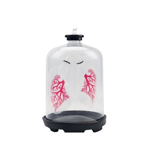 Modèle de mouvement pulmonaire et respiratoire pour le cours de biologie au collège, Appareil d'expérimentation de simulation du mouvement diaphragmatique, Salle de classe - Product Image 1