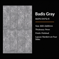 Dalle en pierre frittée Badis Gray 800x2600mm 9mm polie, pose aléatoire sur quatre côtés, pour mur, sol et comptoir