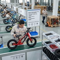 Vélo d'équilibre personnalisé à marque privée de 12 pouces, matériaux écologiques, léger et réglable